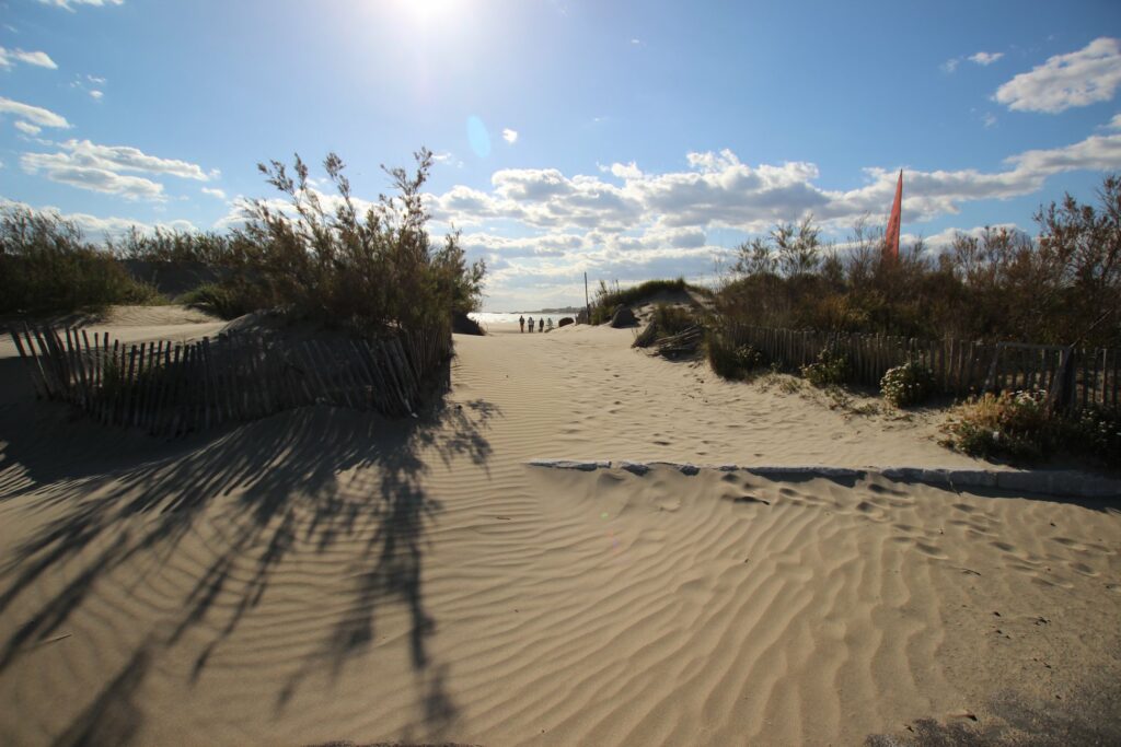 Photographie d'une dune de la plage de Potiragne